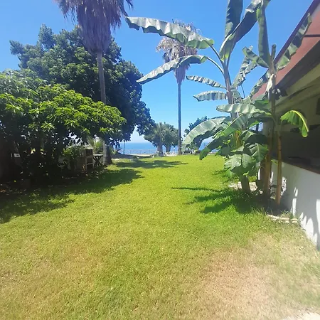 Araba Fenice * Тропея